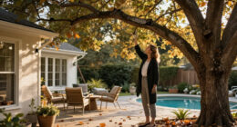 Tree Experts Urge Homeowners To Do This Check Before Winter To Keep Your Home And Garden Safe From Danger