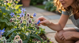 What Is Borage? Learn To Grow This Pollinator-Friendly Herb