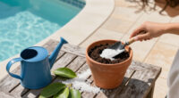 What Is Perlite? A Guide To Using It In Soil And Pots