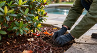 What To Do With Azaleas And Rhododendrons In Fall – 7 Winter Prep Tips To Protect Next Spring's Blooms