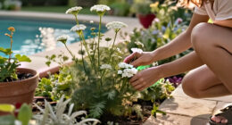 Yarrow: Benefits, Uses, And How To Grow It